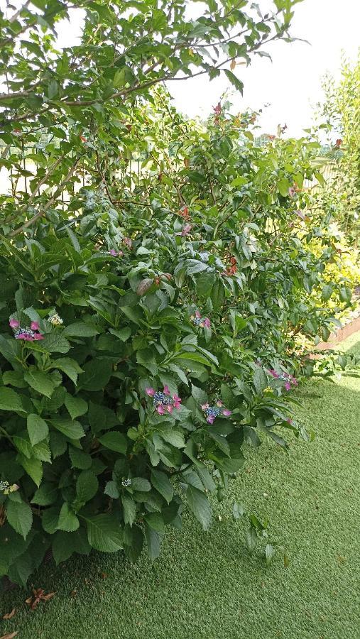 La Cle De Vos Reves Bed and Breakfast Orthevielle Εξωτερικό φωτογραφία