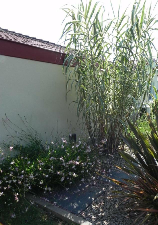 La Cle De Vos Reves Bed and Breakfast Orthevielle Εξωτερικό φωτογραφία