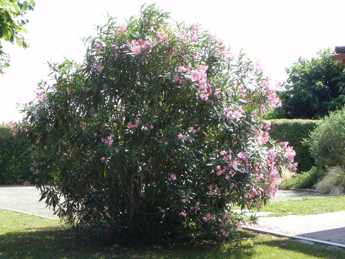La Cle De Vos Reves Bed and Breakfast Orthevielle Εξωτερικό φωτογραφία
