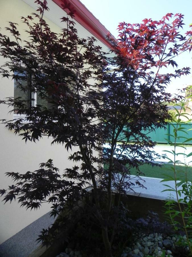 La Cle De Vos Reves Bed and Breakfast Orthevielle Εξωτερικό φωτογραφία